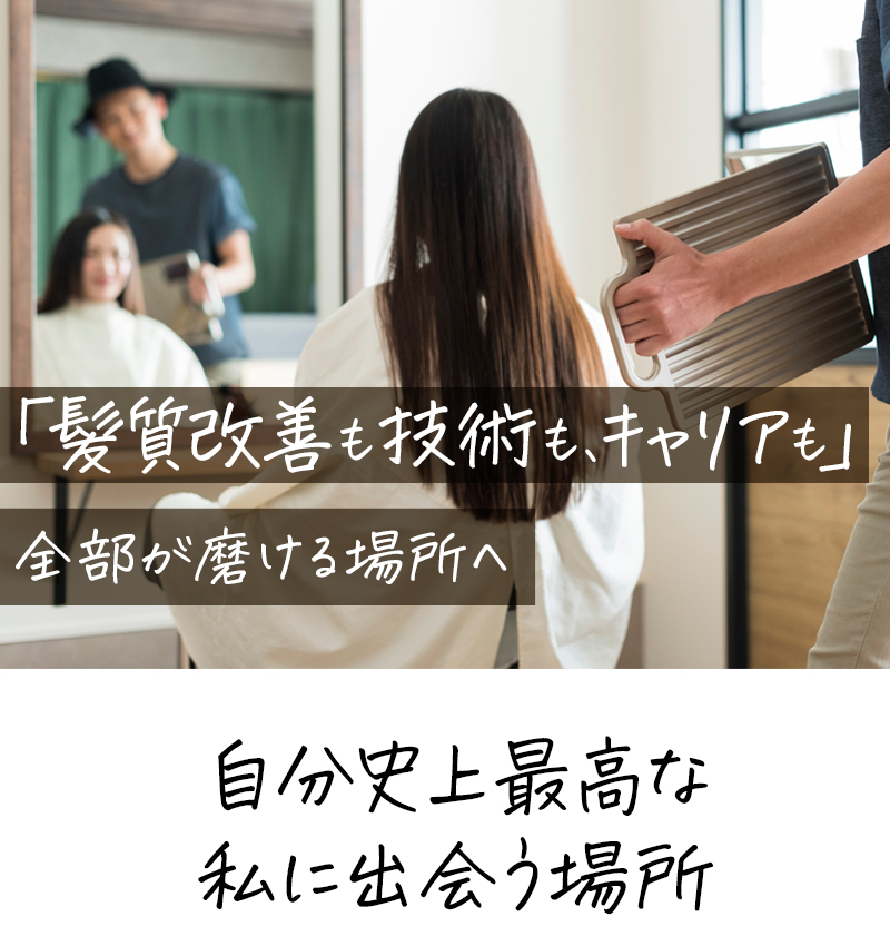 トップ
